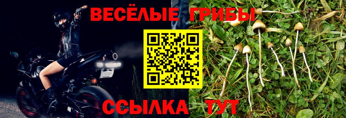 Галлюциногенные грибы GOLDEN TEACHER Бахчисарай